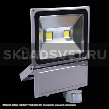 56100-0.2-001QY LED100W+SENSOR GY прожектор диодный с сенсором 56100-0.2-001QY LED100W+SENSOR GY прожектор диодный с сенсором