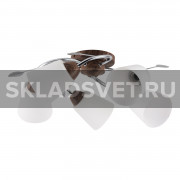 Потолочный светильник 66002/5WD+CR WT ЭкономСвет