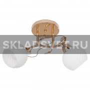 Потолочный светильник 51158A/2FG WT ЭкономСвет Потолочный светильник 51158A/2FG WT ЭкономСвет