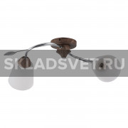 Потолочный светильник 66002/2WD+CR WT ЭкономСвет