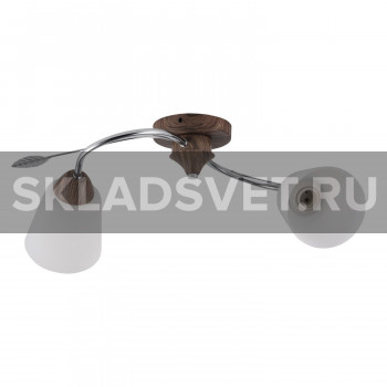 Потолочный светильник 66002/2WD+CR WT ЭкономСвет Потолочный светильник 66002/2WD+CR WT ЭкономСвет