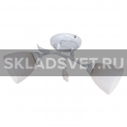 Потолочный светильник 53521/2WG WT ЭкономСвет