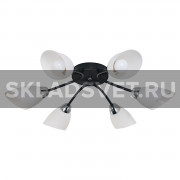 Потолочный светильник 50751/6CR+BK WT ЭкономСвет Потолочный светильник 50751/6CR+BK WT ЭкономСвет